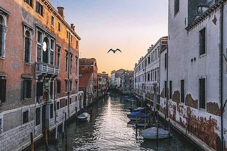 Grand Canal, Venice thumbnail