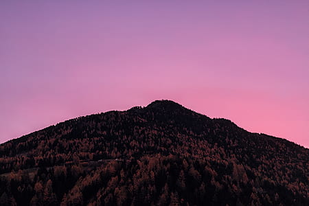 aerial photography of trees on mountain thumbnail