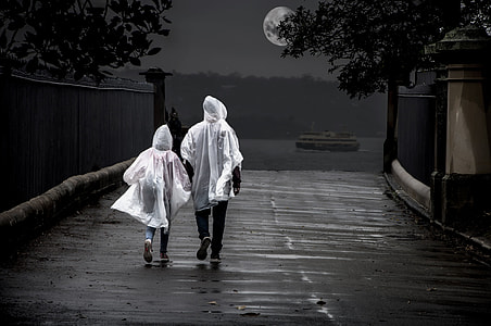 two person walking beside tree near body of water thumbnail