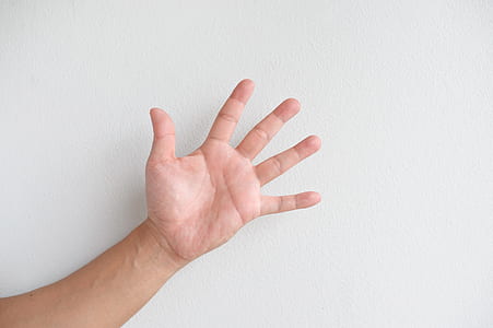 left human palm thumbnail
