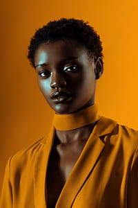 Model In Gold Fashion Photo thumbnail