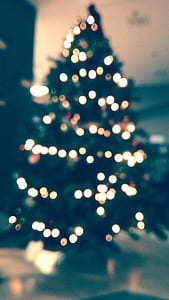 christmas tree thumbnail