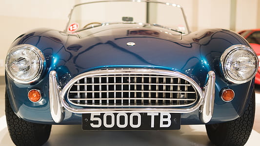 blue AC Cobra closeup photography thumbnail