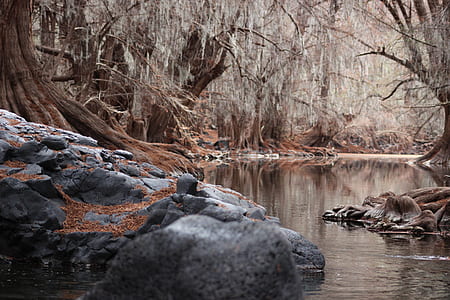 landscape, nature, water, rocks thumbnail