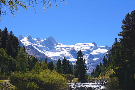 Scenic View of Pine Trees and Mountains Against Clear Blue Sky thumbnail