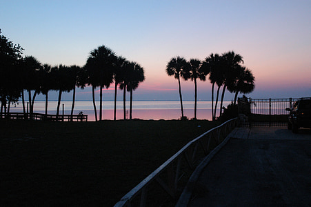 silhouette of trees near the seashore at blue hour thumbnail