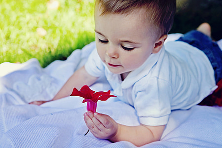 boy wearing white polo shirt holding red flower thumbnail