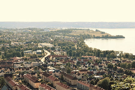 Aerial View of City Near Body of Water Painting thumbnail