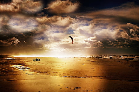 seashore during golden hour thumbnail