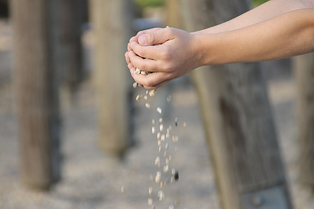 person holding clump of pebbles thumbnail