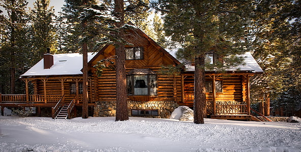 brown house near trees thumbnail