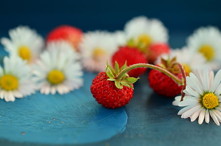 close up photo of three red strawberries thumbnail