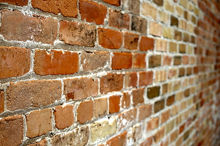 brown brick wall in selective focus photography thumbnail