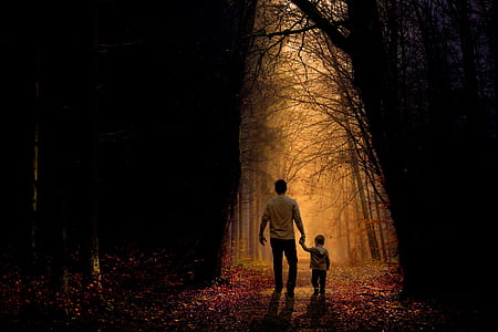 man and toddler walking on dried forest during dawn thumbnail