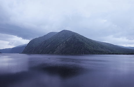 forest mountain near water thumbnail