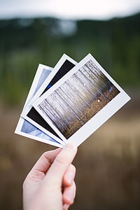 landscape trees photograph thumbnail