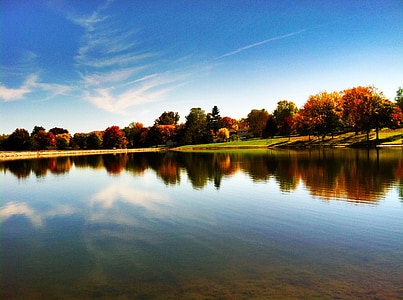 trees near body of water during daytime thumbnail