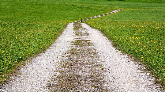 gray pathway between grass covered ground thumbnail