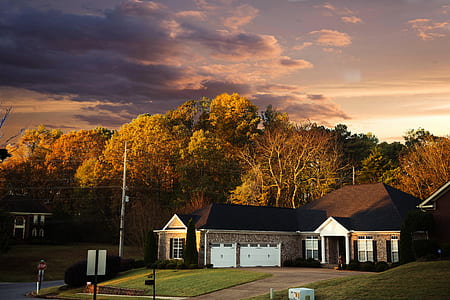 Scenic View of the Trees thumbnail