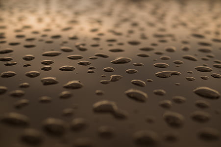 person taking photo of water drop thumbnail