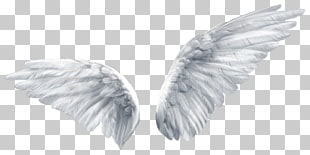 Wing Butterfly Angel , Angel wings, wings illustration PNG clipart
