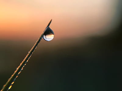 macro photography of water droplet thumbnail