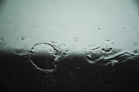 water, rain, wet, droplet thumbnail