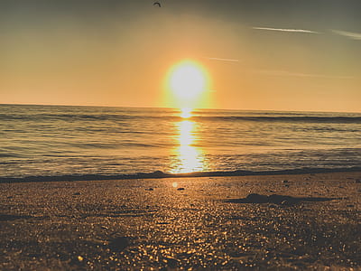 Photography of Ocean during Sunset thumbnail