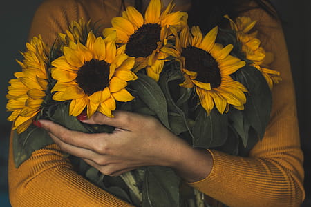 Woman Holding Bunch Of Sunflowers thumbnail