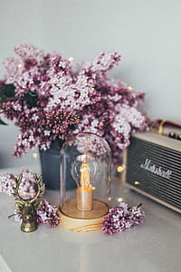 brown wooden based clear glass dome table lamp on white table thumbnail