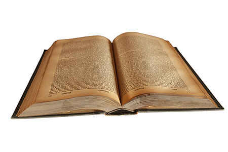 opened brown book thumbnail