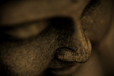 Gautama Buddha thumbnail