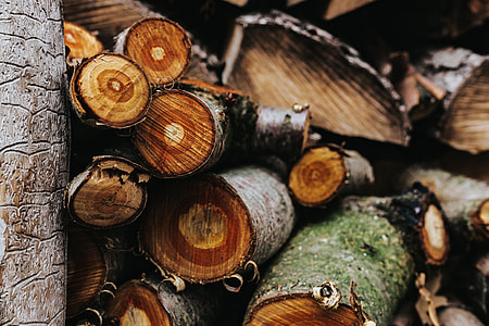 Wooden logs thumbnail