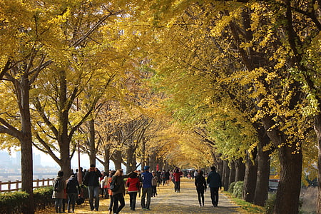 people walking between trees during daytime thumbnail