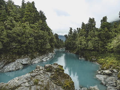 nature, water, rocks, forest thumbnail