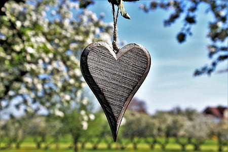 grey heart hang on tree selective focus photography thumbnail