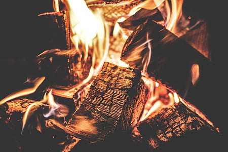 Focus Photography of a Ignited Firewood thumbnail