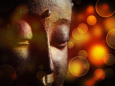 shallow focus photography Gautama Buddha thumbnail
