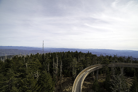 Landscape with a bit of the tower path above the forest at Clingman's Dome, Tennessee thumbnail