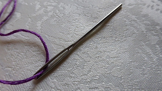 silver needle thumbnail