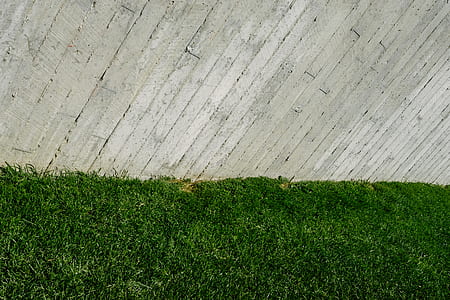 wall, fence, grass, garden thumbnail
