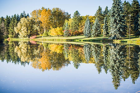 calm body of water beside glassland near trees under blue sky thumbnail