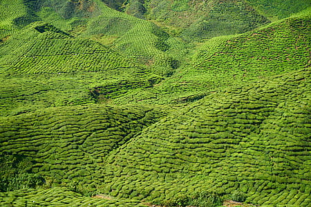 landscape photography of mountain thumbnail