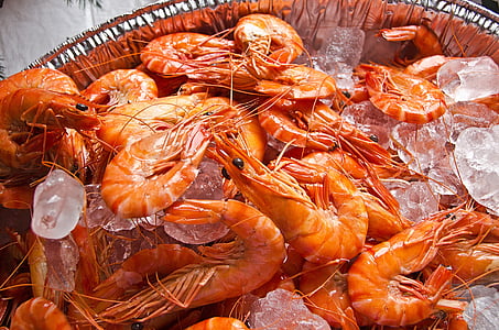 plate of shrimps with ice thumbnail