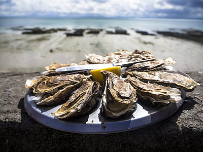dried oyster on plate thumbnail