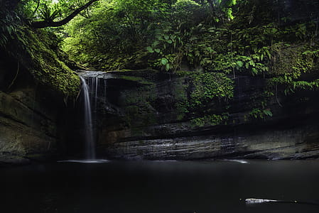 Waterfall Surrounded by Green Leaf Trees thumbnail