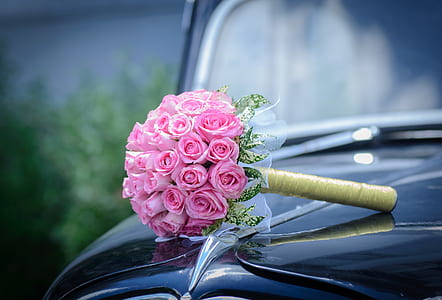 bouquet of pink roses on black car bonnet thumbnail