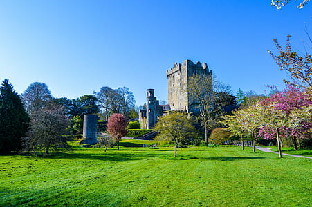 castle surrounded by flowers and pants thumbnail