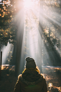 shallow focus photography of woman in brown parka jacket on forest during daytime thumbnail