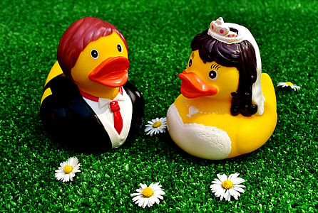 bride and groom duck toys on ground near flowers thumbnail